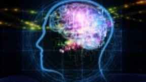 大脑植入微芯片 未来五年人类可实现“超智能”