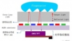 安卓手机无缘3D光学人脸识别 高端机型拼抢屏下指纹识别市场