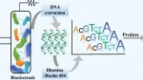 西安交大在基于人工智能的微生物传感器研究领域获进展
