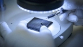 欧美竞相研发“类脑芯片”，上海民营企业牵头发起新型研发机构