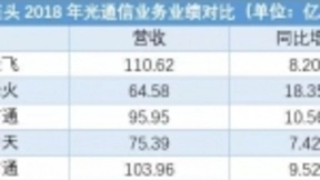 透视光纤五巨头的2018：“心照不宣”向光通信全产业链迈进