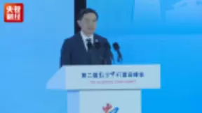 李彦宏：未来没有一家企业可以声称与人工智能无关