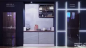 TCL X10冰箱极速制冷留存食材的自然美味