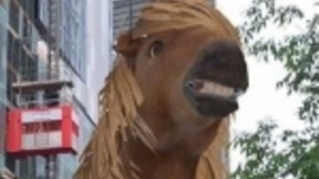 谷歌搜索加入AR和3D动物模型