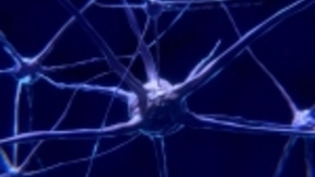 AOGNets：首个语法生成网络，视觉识别优于当前最先进框架