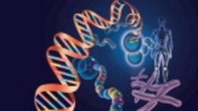 想要彻底认识人类，只能靠人工智能