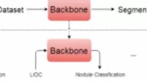 腾讯优图开源业界首个3D医疗影像大数据预训练模型