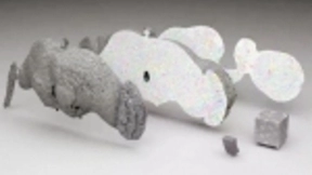 谷歌AI自动重建果蝇大脑