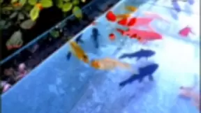 打造首个线上“未来影像馆” 华为P30系列又一次让全民沸腾