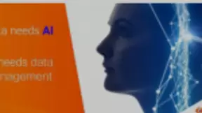无数据，不AI：全面的数据管理是企业AI成功的关键