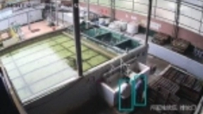 环保和农业再发力 平安科技AI技术中台助力场景2.0升级