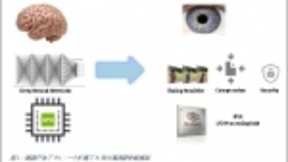 大脑神经网络为AI和ML新算法提供新灵感