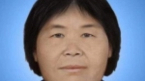 AI能不能找到“梅姨”？