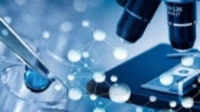 这次AI技术绝对立功了 准确率可达到99.6%