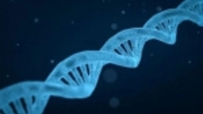 《科学》重磅：借力人工智能，科学家开发出了更强大的基因携带工具