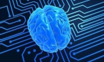 未来预测：人工智能是否会抢走所有的工作？