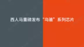 西人马重磅发布“乌骓”系列芯片，快马加鞭布局芯片赛道