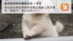 快手上线“肺炎防治”频道 准确传递疫情信息