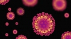 科学与新冠病毒的竞赛：感染人数为何远超SARS？