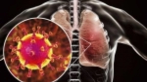 解密五种AI筛选的“新冠”新药：能靶向病毒细胞侵入的蛋白酶