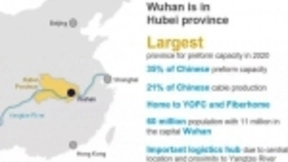 CRU：新型冠状病毒如何影响全球光纤市场