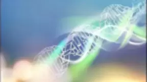 深兰科技成功开发基因序列对比AI算法 助力攻克新冠病毒