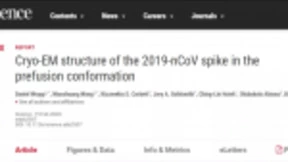 Science新冠疫苗突破：美科学家绘制出S蛋白超清结构，测试正在进行