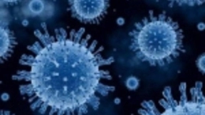 新冠病毒发源地在何方？专家认为还是要接着找证据