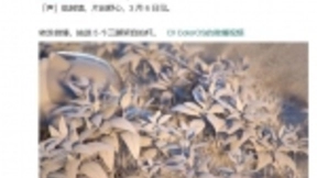 ColorOS曝光OPPO Relax功能，助力Find X2顶级体验