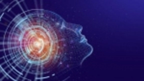 Plannuh筹集了400万美元用于扩展人工智能驱动的营销