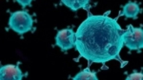 60秒完成病毒基因对比 阿里云向社会免费开放基因计算服务