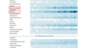 人工智能将从根本上改变人类社会 未来80％重复性的工作将被取代