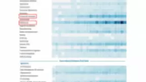 人工智能的发展未来将有望超越人类的能力
