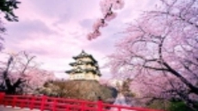 支持华为Mate X等热门机型 HUAWEI VR Glass春日福利来袭