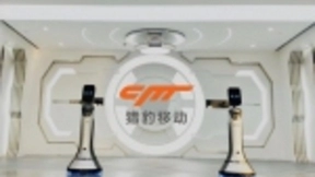 猎豹移动2019年总营收36亿 近50亿资金储备 AI等收入增长72%