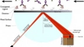 近30亿潜在市场规模，新一代SPR技术检测平台面世