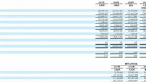 WiMi微美云息赴美IPO纳斯达克:全球全息AI视觉第一股年利润增长