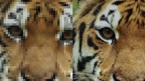 技术升级，联发科MiraVision让终端设备图显更惊艳