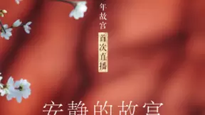 抖音上线2020故宫首次直播，带你“云游故宫”