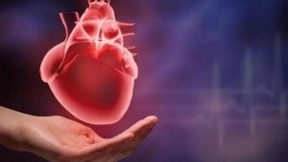 瑞士科学家：一种人工智能系统可以几秒之内扫描心血管血流