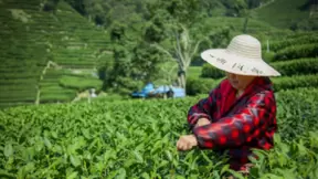 网易严选启动“严选中国”文化溯源项目，探索山河人文之美