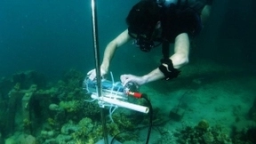 用人工智能保护环境，英特尔推能监测珊瑚礁健康状况AI项目