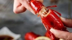 助力湖北三天售出8万盒小龙虾，央视重点报道红小厨