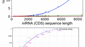 百度AI发布LinearDesign算法，全球首次解决mRNA疫苗不稳定性问题