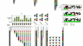 赛纳生物完成数亿元C轮融资，自主研发新型基因测序仪