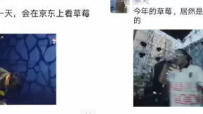 京东直播和摩登天空合作，线上草莓音乐节探索直播新模式