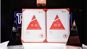 平安科技斩获2020年TopDigital两项营销类大奖