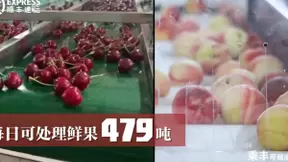 智能科技运鲜，顺丰用“科技+终端+服务”站稳鲜果运输领航员