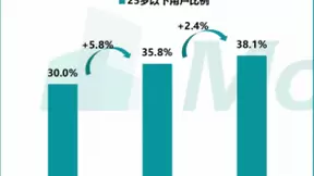 《2020中国第三方输入法行业洞察》出炉 讯飞输入法备受年轻群体追捧