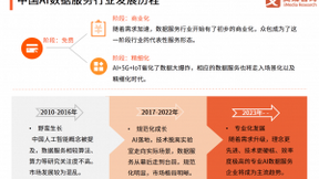 2020年中国AI数据服务行业发展现状及趋势分析